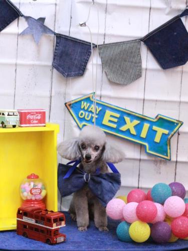 20230414サージュちゃん